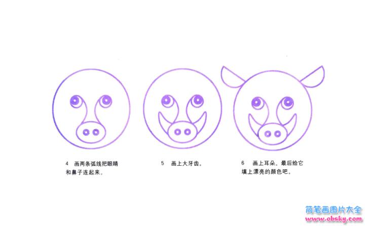 彩色简笔画野猪的图片教程