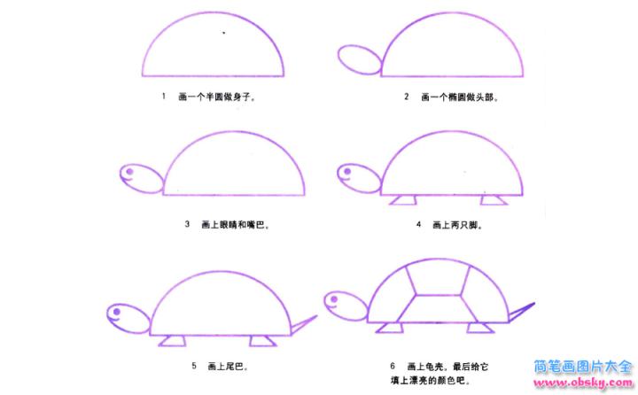 彩色简笔画乌龟的图片教程