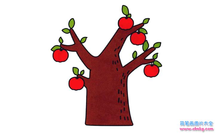 彩色简笔画苹果树的图片教程