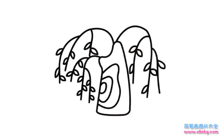 彩色简笔画柳树的图片教程