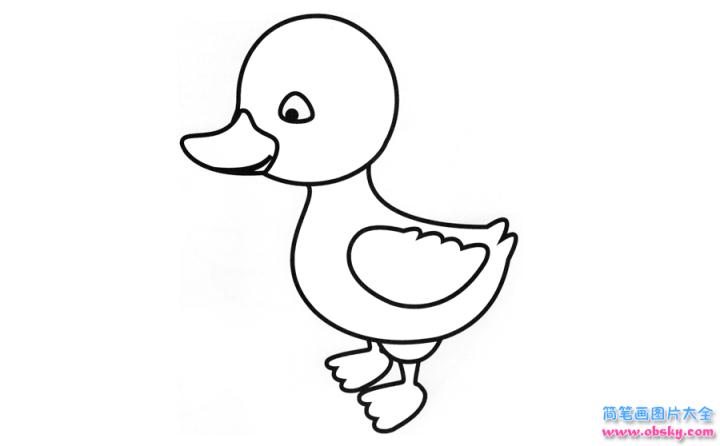 彩色简笔画鸭子的图片教程