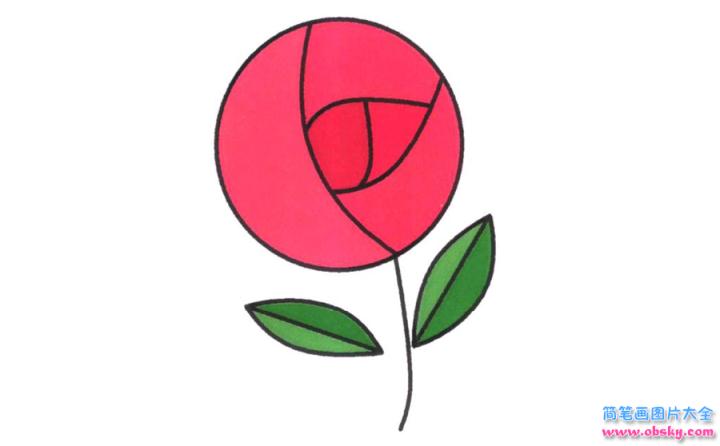 彩色简笔画玫瑰的图片教程