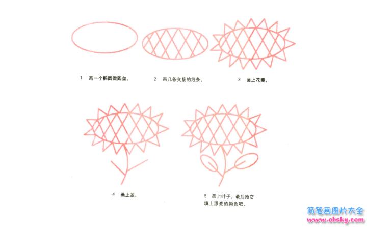 彩色简笔画向日葵的图片教程