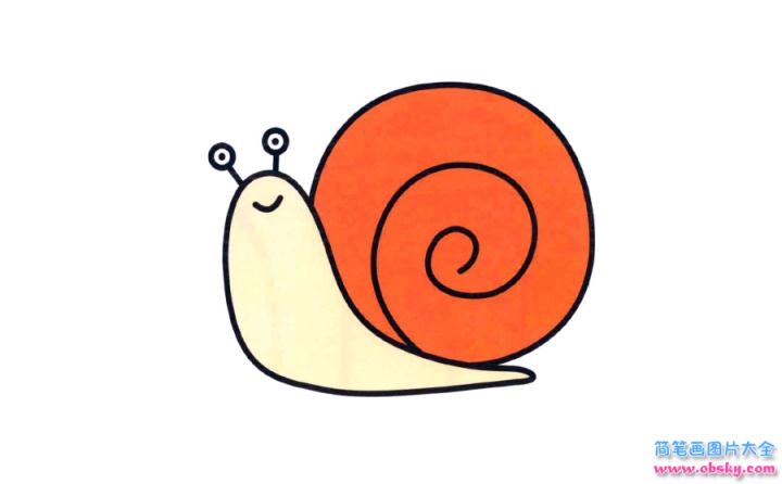 彩色简笔画蜗牛的图片教程