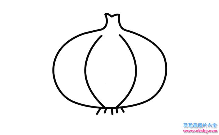 彩色简笔画大蒜的图片教程