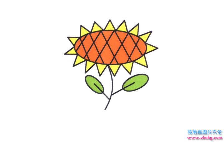 彩色简笔画向日葵的图片教程