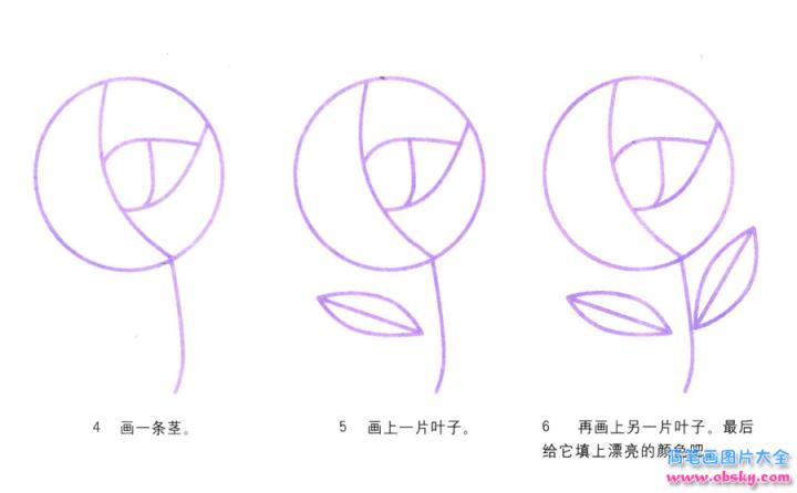 彩色简笔画玫瑰的图片教程