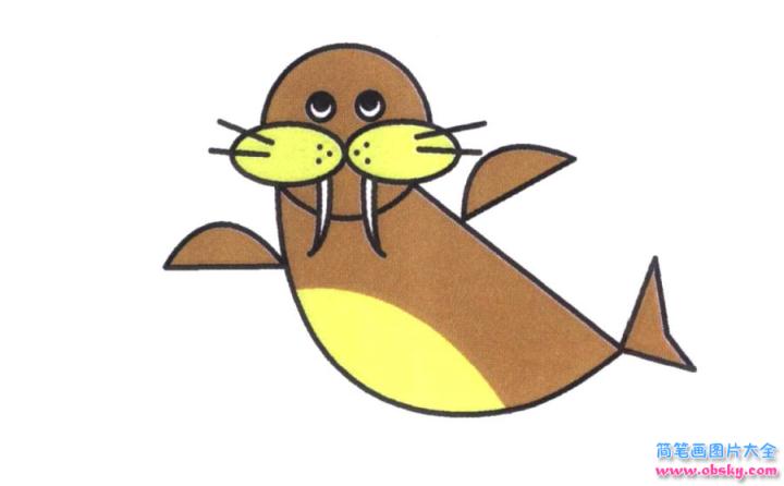 彩色简笔画海象的图片教程