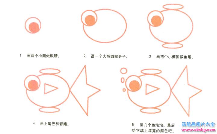 彩色简笔画金鱼的图片教程