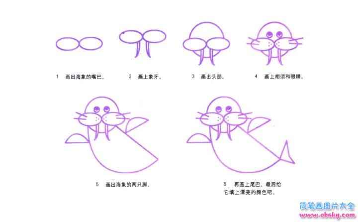 彩色简笔画海象的图片教程