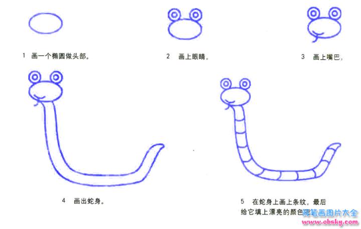 彩色简笔画眼镜蛇的图片教程