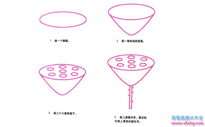 彩色简笔画莲蓬的图片教程