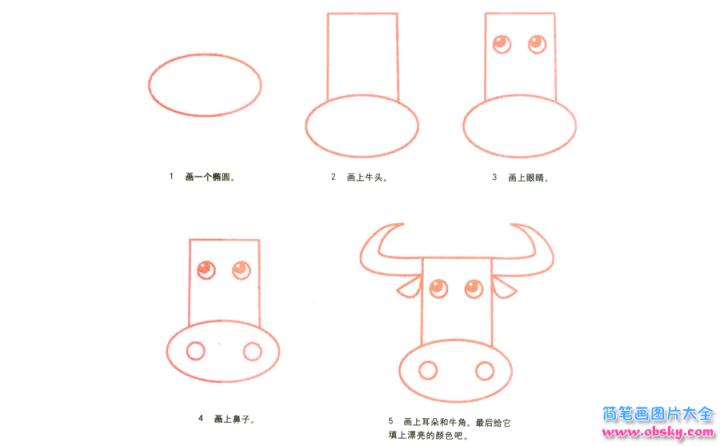 彩色简笔画公牛的图片教程