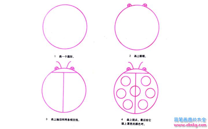 彩色简笔画瓢虫的图片教程