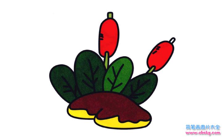 彩色简笔画蒲棒的图片教程