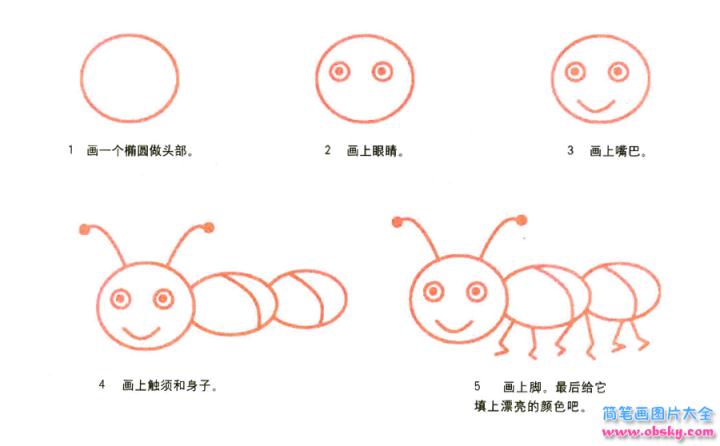 彩色简笔画蚂蚁的图片教程