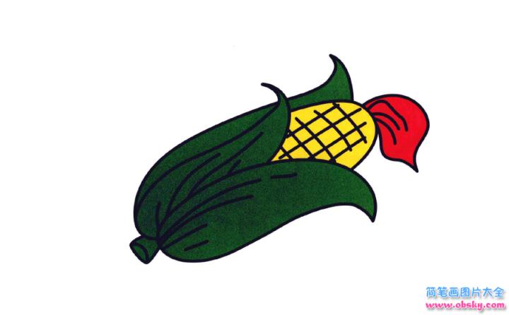 彩色简笔画玉米的图片教程