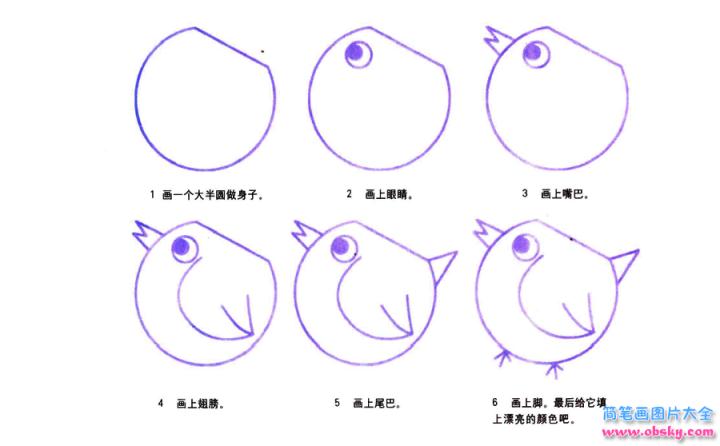 彩色简笔画母鸡的图片教程