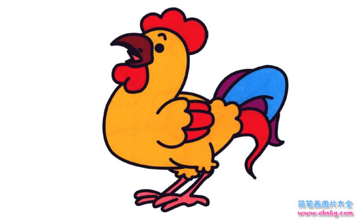 彩色简笔画大公鸡的图片教程