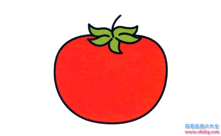 彩色简笔画西红柿的图片教程