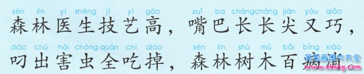 彩色简笔画啄木鸟的图片教程