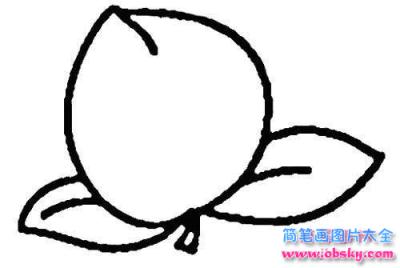 切开的桃子简笔画图片