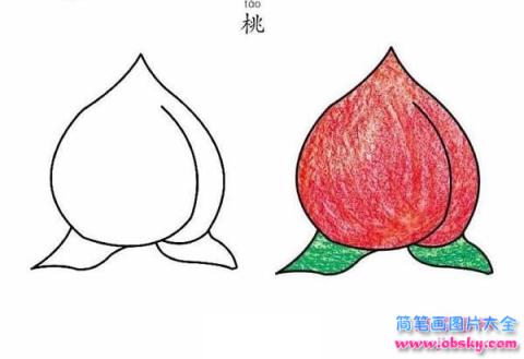 彩色桃子简笔画图片大全