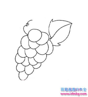 儿童简笔画：葡萄