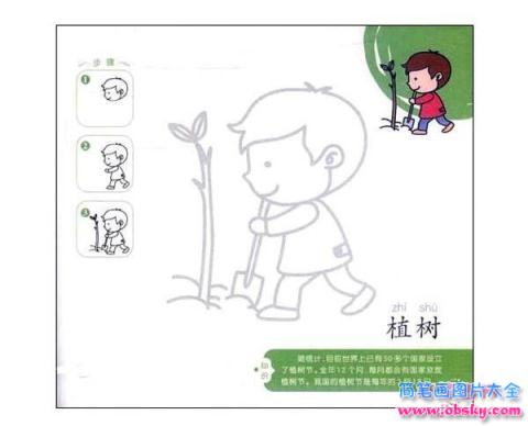 植树简笔画画法步骤