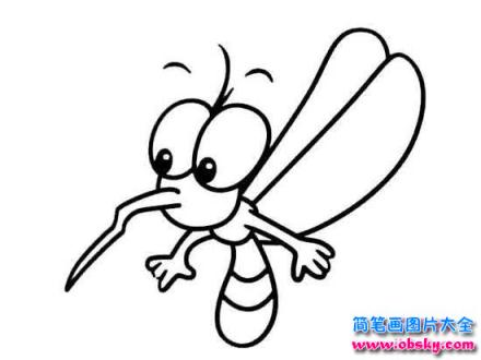 幼儿卡通简笔画：蚊子