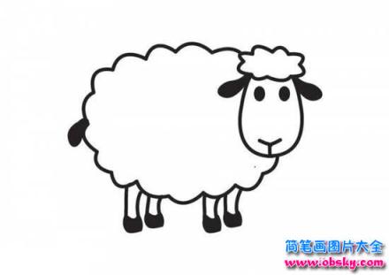 卡通绵羊简笔画图片