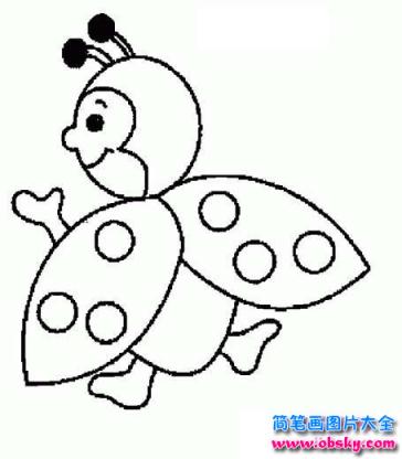 可爱的卡通七星瓢虫简笔画