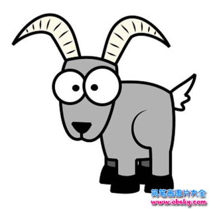 彩色的卡通羊简笔画图片