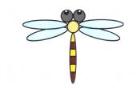 彩色蜻蜓简笔画画法_怎么画彩色蜻蜓的简笔画