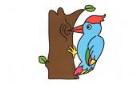 彩色啄木鸟简笔画画法_怎么画彩色啄木鸟的简笔画