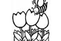 郁金香和蜜蜂简笔画画法_怎么画郁金香和蜜蜂