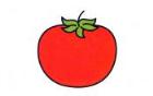 彩色西红柿简笔画画法_怎么画彩色西红柿的简笔画
