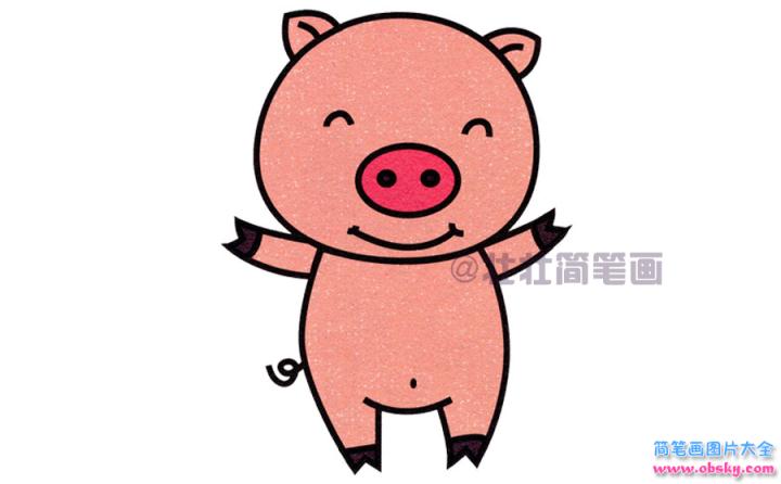 小猪简笔画画法_怎么画小猪的简笔画