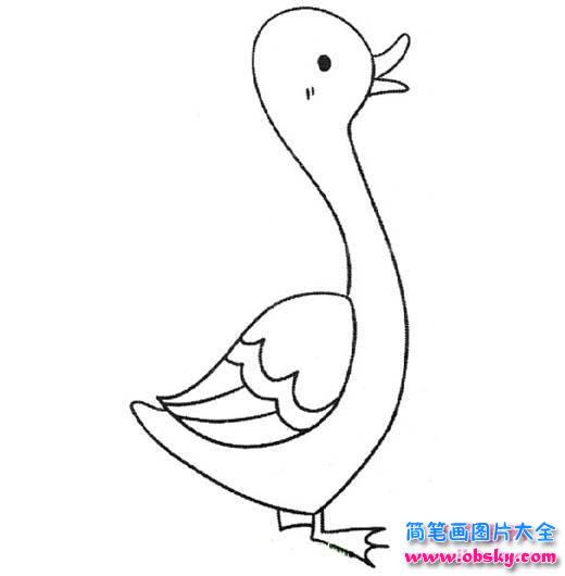 可爱美丽的鸭子简笔画