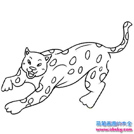 云豹简笔画图片