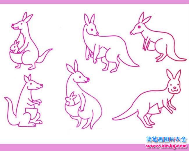 各种袋鼠简笔画图片大全