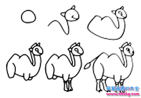骆驼简笔画画法方法