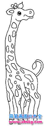 幼儿长颈鹿简笔画图片
