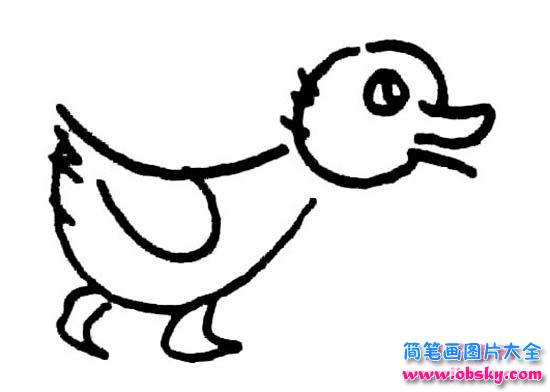幼儿园画鸭子的简笔画