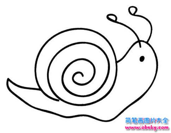 有关蜗牛的简笔画