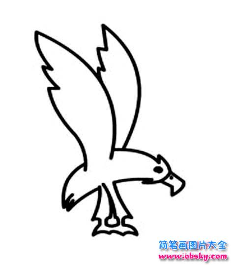 捕到猎物的老鹰简笔画图片