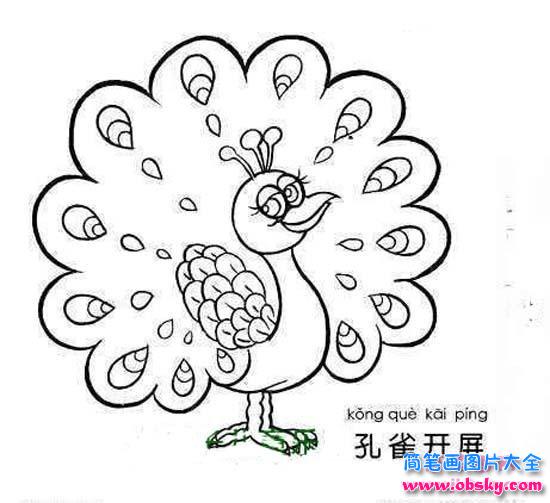 可爱的卡通孔雀简笔画图片