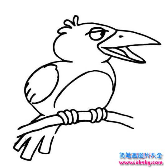 树枝上的乌鸦简笔画图片