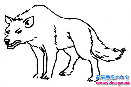 儿童关于狼的简笔画图片