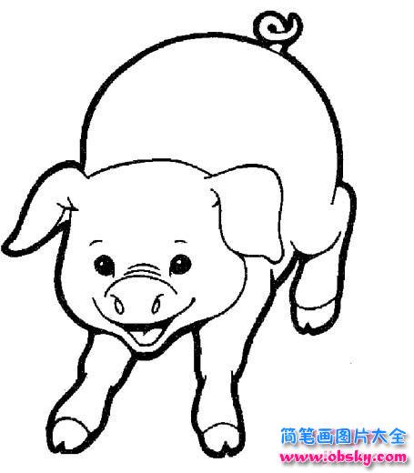 关于猪的简笔画